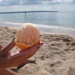 Ruth Zimmermann - @ruth.zimmermann.17 - Instagram