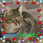 ruth zimmermann - @zimmermann4026 - Instagram
