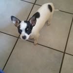 Ruth Zimmermann - @ruth.zimmermann.71 - Instagram