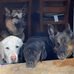 Ruthann Eldridge Nelson - Facebook