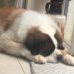 Ruth Cunningham - @ruthcunningham3 - Instagram