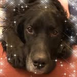Ruth Grant - @grant_mailing - Instagram