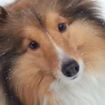 Ruth Gregory - @ruth.gregory.7509 - Instagram