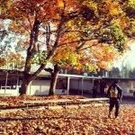 Ruth Gregory - @everydaywhitecenter - Instagram
