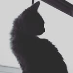 Ruth Hoffman - @theartisticdonut - Instagram
