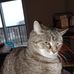 Ruth Hoffman - Facebook