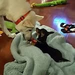 Ruth Holcomb Oliver - @msruth0 - Instagram