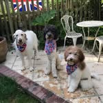 Ruth Lloyd - @ruth.lloyd.10 - Instagram