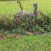 Ruth Lloyd - Facebook