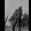 Ruthie - @rednecklover657 - TikTok
