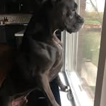JimmynRuthie Shaw - @ruthieshaws - Instagram