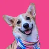 Ruthie_Smalls_ - @ruthie_smalls_ - TikTok