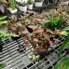 Ruthie Smallwood - @ruthie.smallwood - TikTok