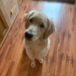 Rutledge Smith - @rutledge_smith6 - Instagram