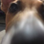 Ryan Abell - @ryan.abell125 - Instagram