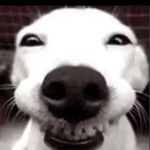 Ryan Abell - @ryan.abell09 - Instagram