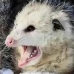 Ryan Abernathy - @that_one_boi_ryan333 - Instagram