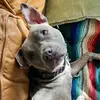 ryan.abernathy87 - @ryan.abernathy873 - TikTok