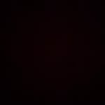 Ryan Abrahamson - @ryan_abrahamson_jr - Instagram