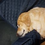 Ryan Addison - Facebook