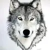 Ryan Adriano - @ryan.adriano - TikTok