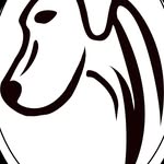 Ryan Albertson - @k9behaviorist - Instagram