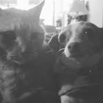 Ryan Albertson - @r_albertson - Instagram