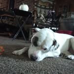 Ryan Albertson - @ryan.albertson.524 - Instagram