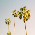 Ryan Allen - @throughryanseyes - Instagram