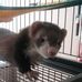 Ryan Amundsen - Facebook