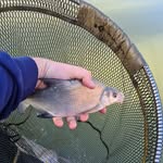 Ryan Appleby - @ryan_angling - Instagram