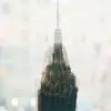 RyanAntonucci7045 - @ryanantonucci7045 - TikTok