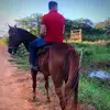 Ryan Araujo - @ryanaraujo2002 - TikTok