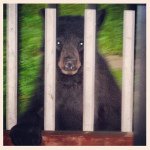 Ryan Armitage - @coolest_things_in_life - Instagram
