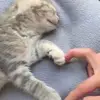 ryannkearney25 - @ryannkearney25 - TikTok