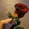 RyanaRy - @ryanary_ - TikTok