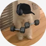 Ryan asher - @ryanasher32 - Instagram
