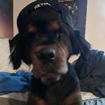 Ryan Asher - @ryanasher33 - Instagram