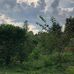 Ryan Atkinson - Facebook