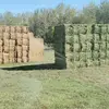 Ryan Atkinson - @ryan.atkinson48 - TikTok