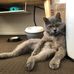 Ryan Au - Facebook
