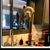 Ryan Austin - @ryan.austin78 - TikTok