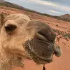 Ryan - @ryanauldy - TikTok
