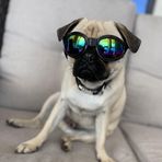 Ryan Averitt - Facebook