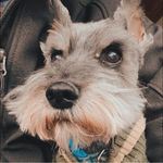 Ryan Ayers - @mr.ryan.ayers - Instagram
