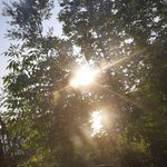 Ryan Babin - @ryan.babin_ - Instagram