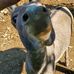 Ryan Babin - Facebook