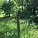 Ryan Bachman - @anotherprofessionalstudent - Instagram