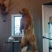 Ryan Baker - Facebook