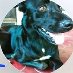Ryan Balbuena - @ryan_balbuena3246 - Instagram